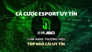 Tổng quan thông tin về JBO Việt Nam